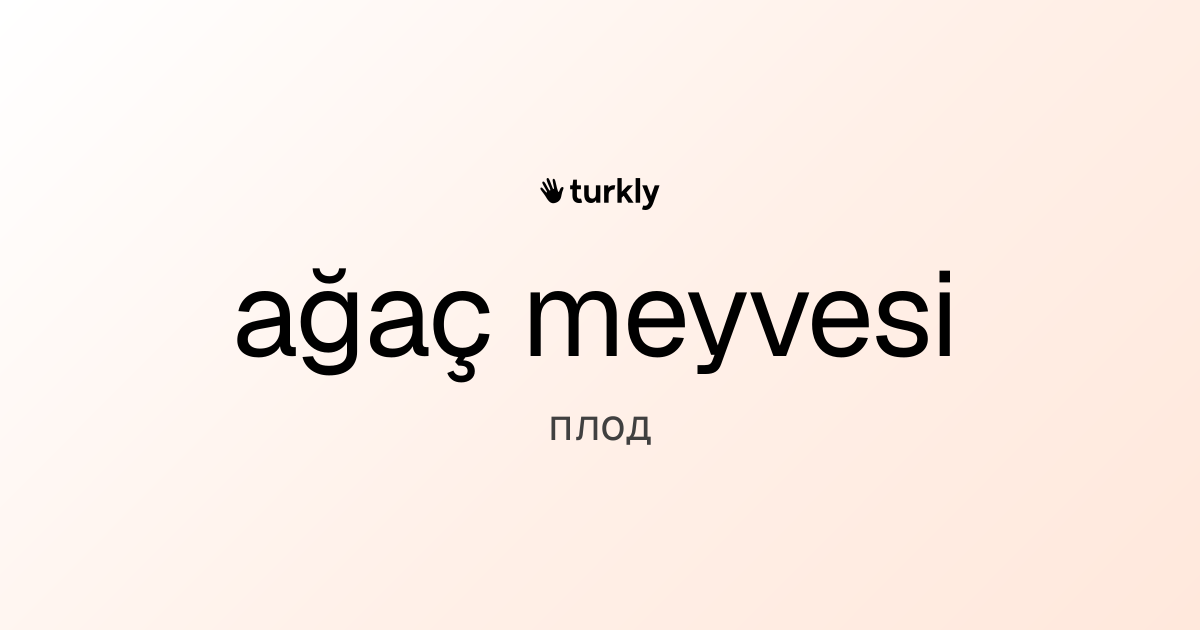 ağaç meyvesi — плод