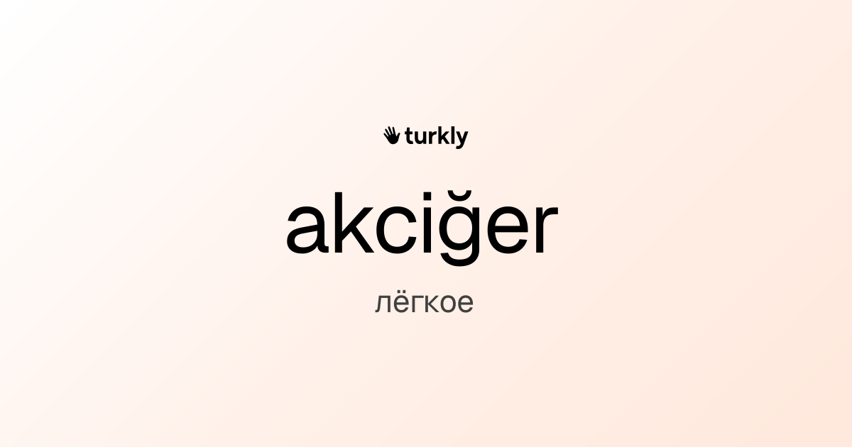 akciğer — лёгкое