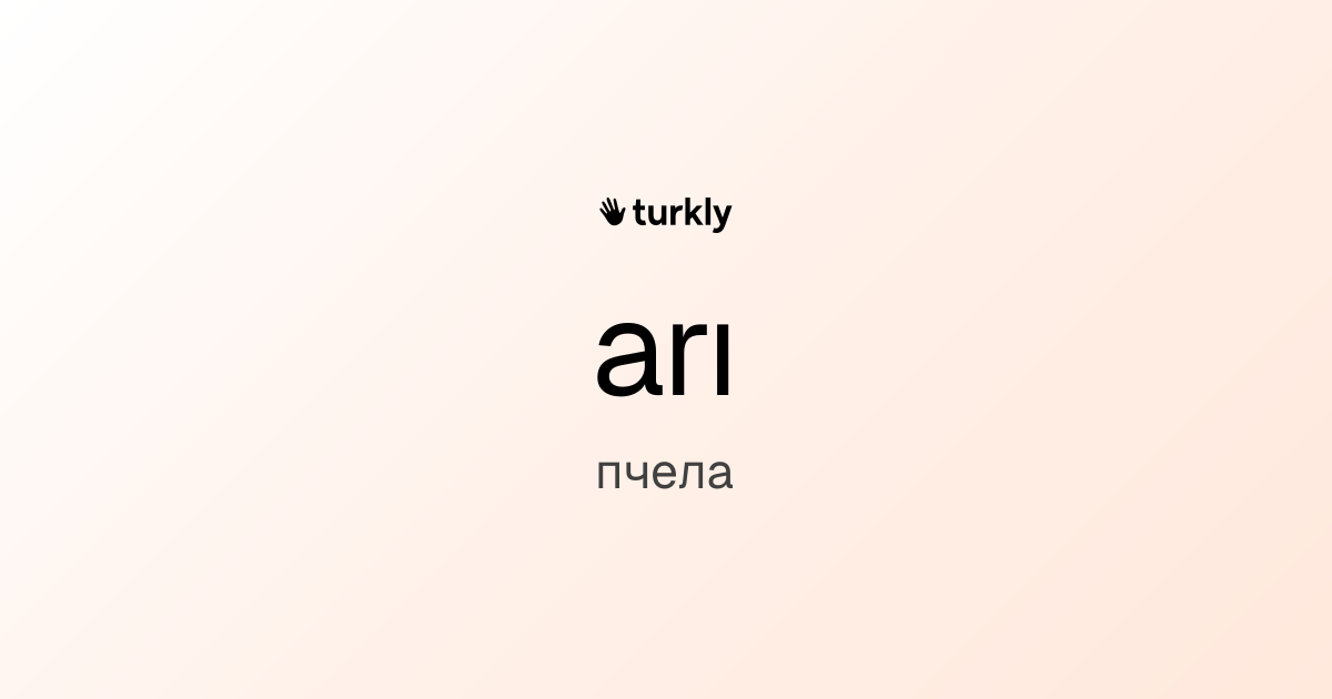 arı — пчела