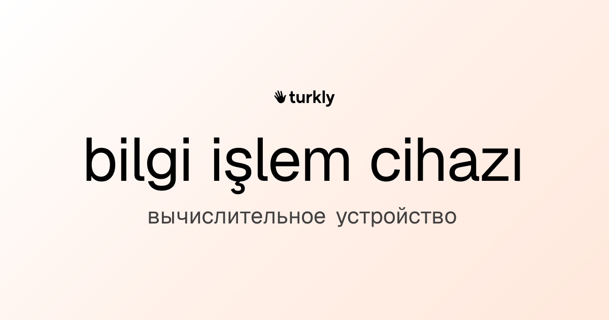 bilgi işlem cihazı — вычислительное устройство