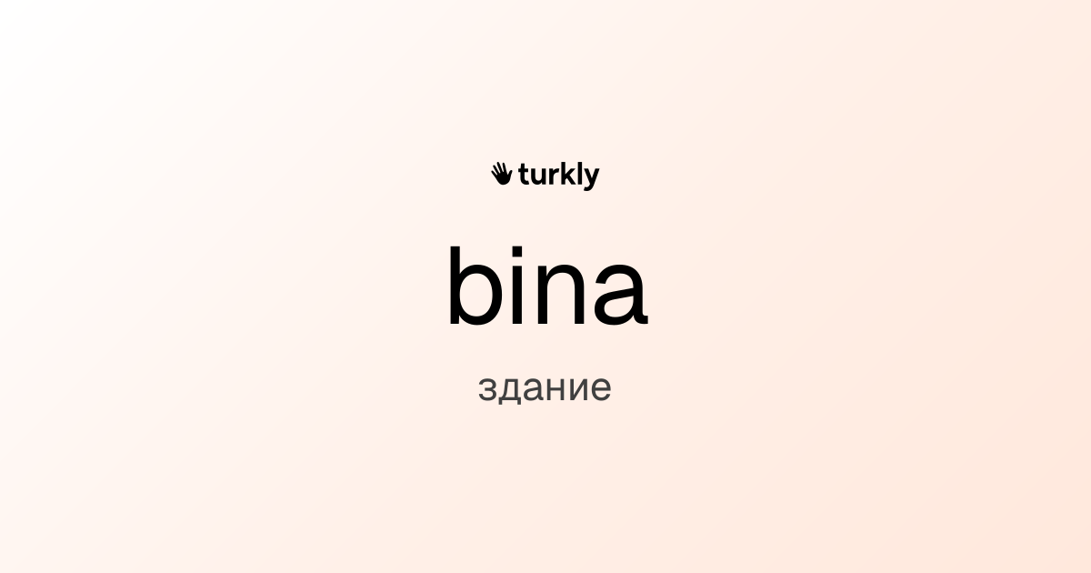 bina — здание