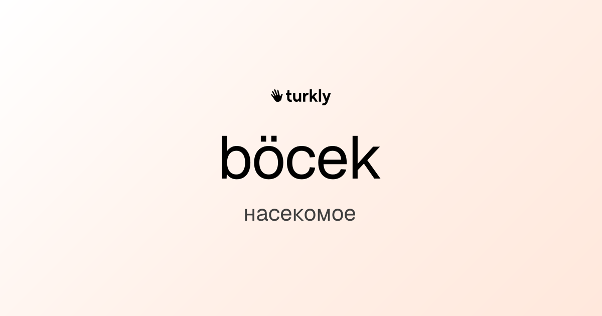 böcek — насекомое