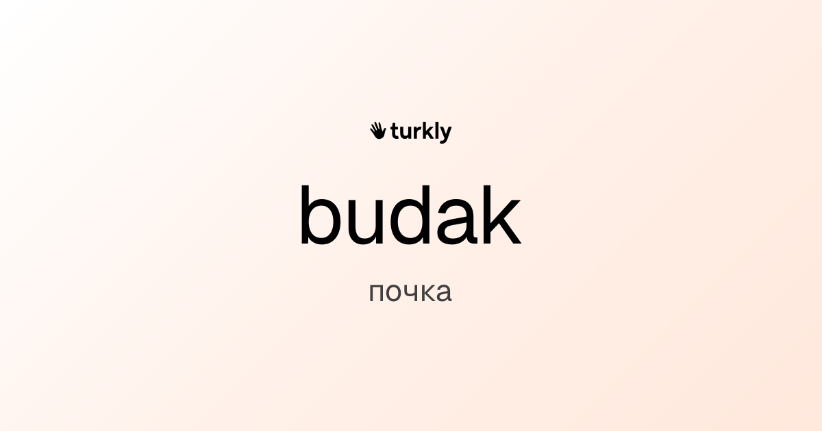 budak — почка