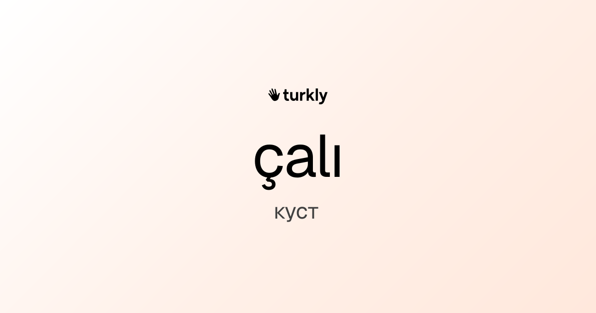 çalı — куст