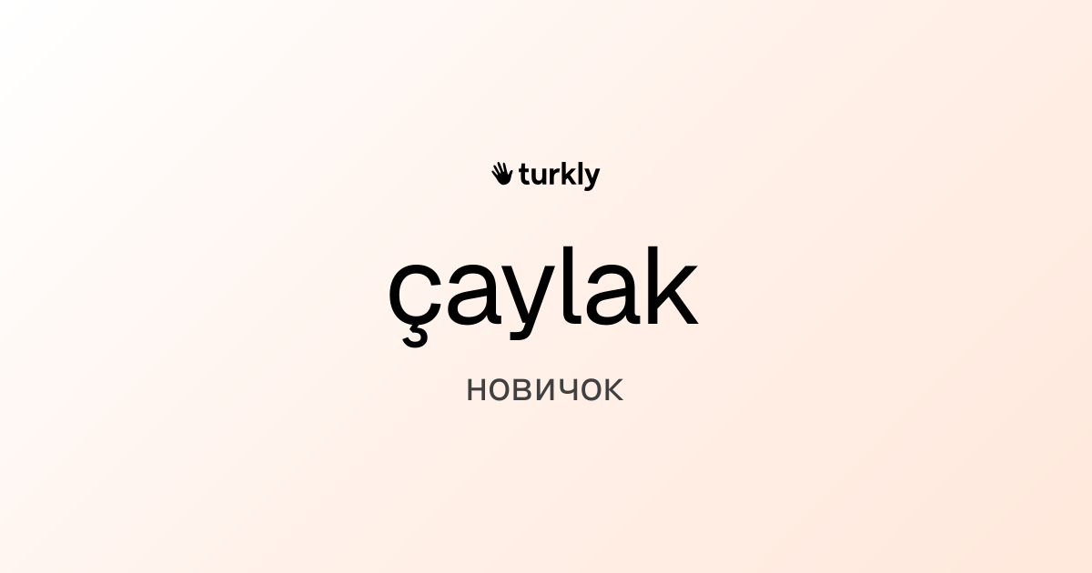 çaylak — новичок