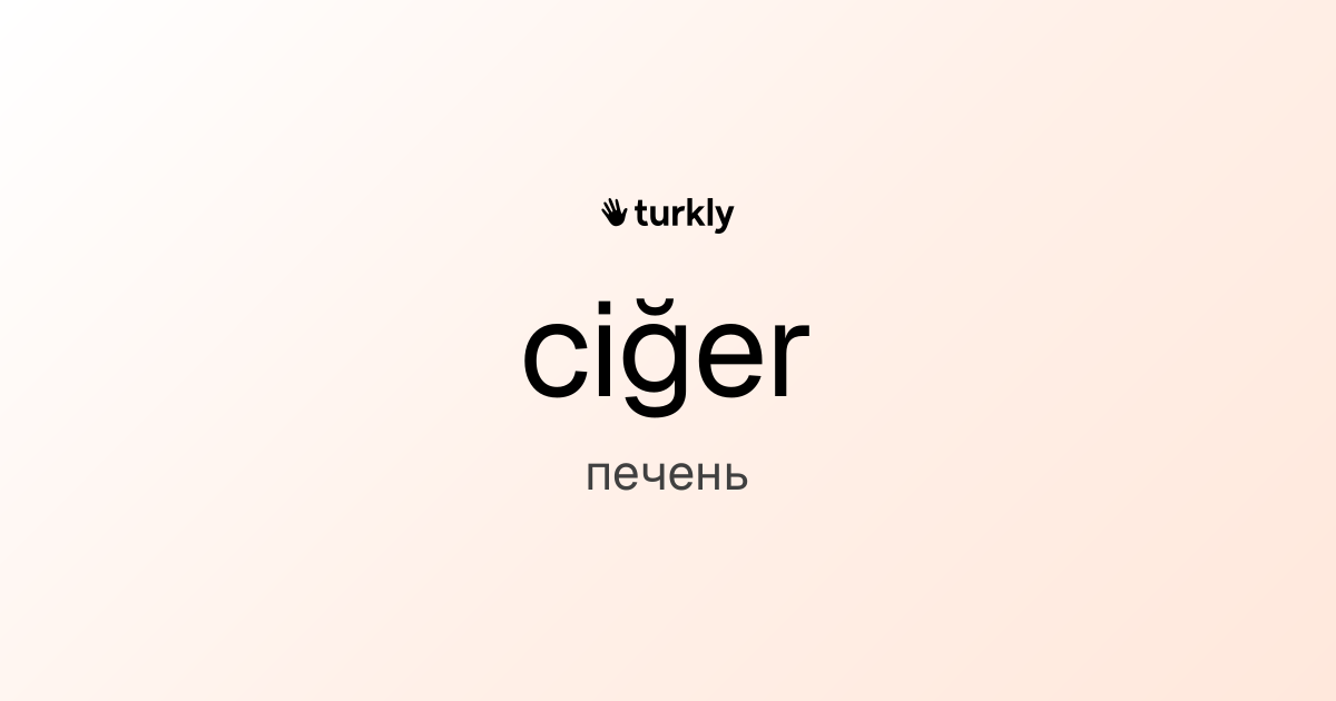 ciğer — печень