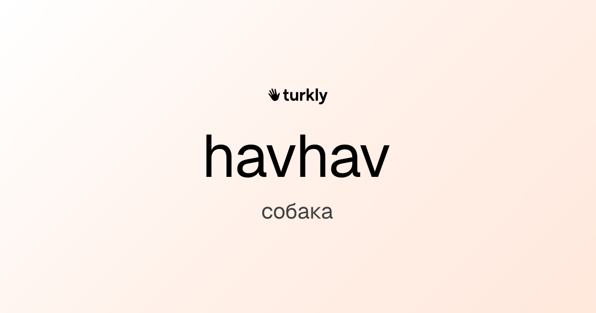 havhav — собака