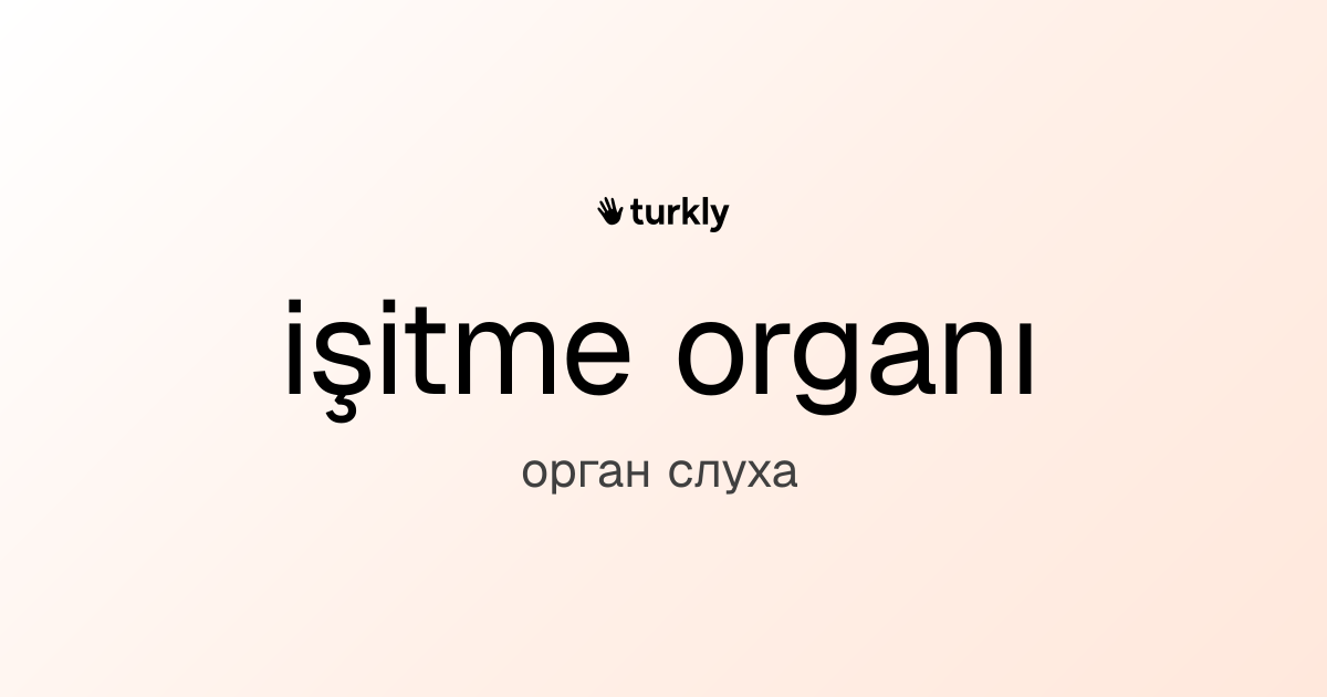işitme organı — орган слуха