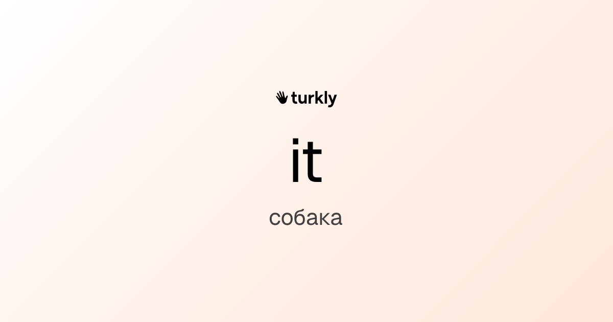 it — собака