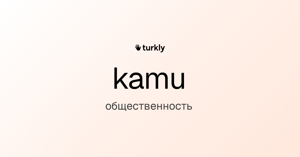 kamu — общественность