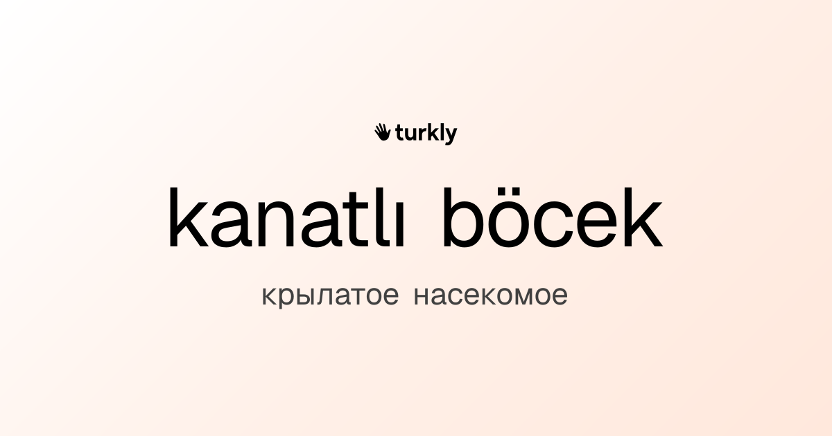 kanatlı böcek — крылатое насекомое