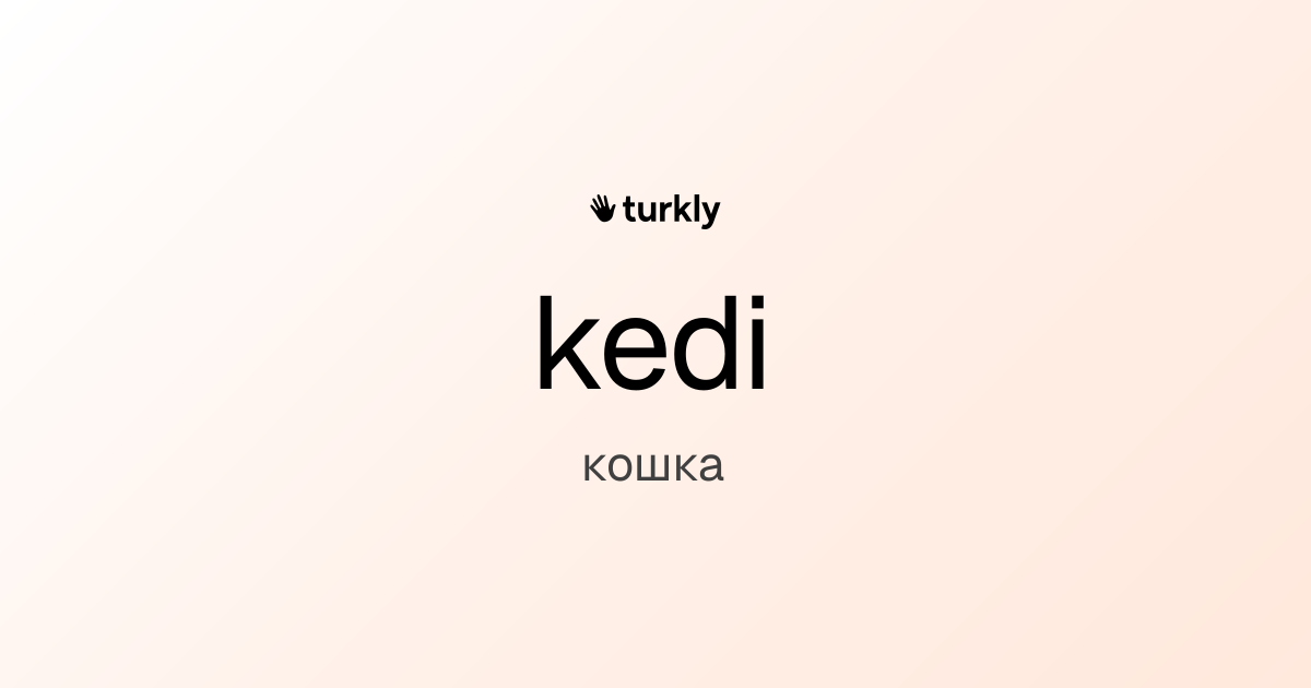 kedi — кошка