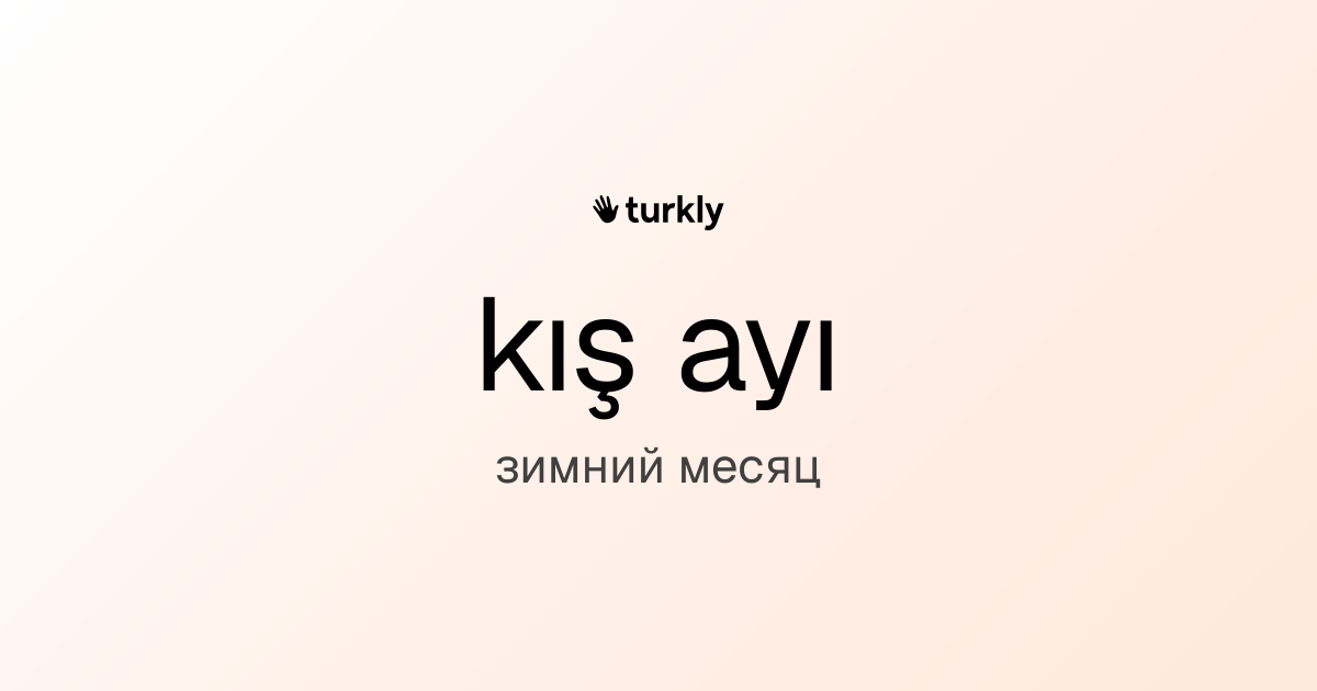 kış ayı — зимний месяц