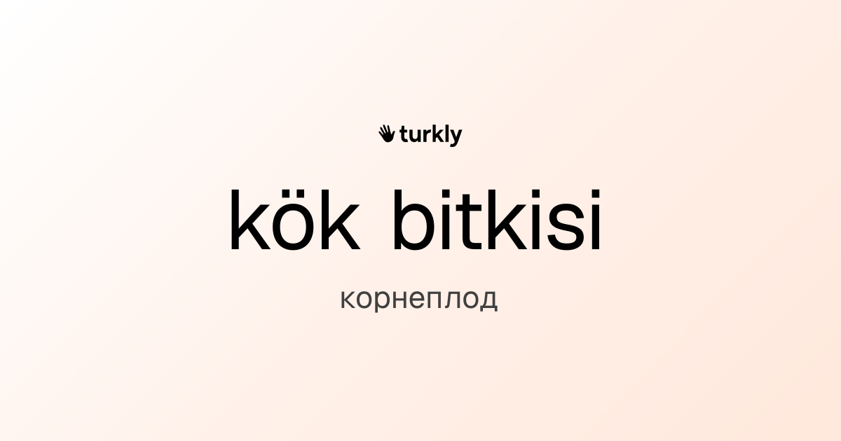 kök bitkisi — корнеплод