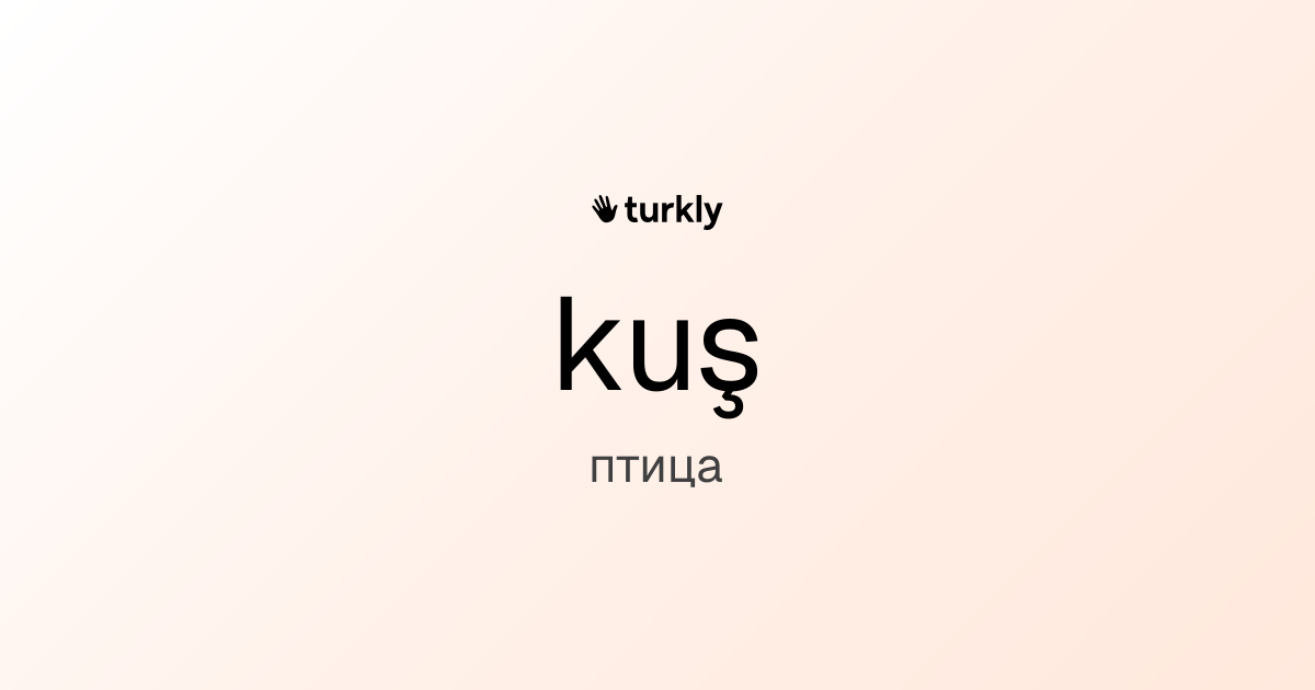 kuş — птица