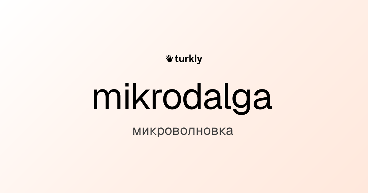mikrodalga — микроволновка