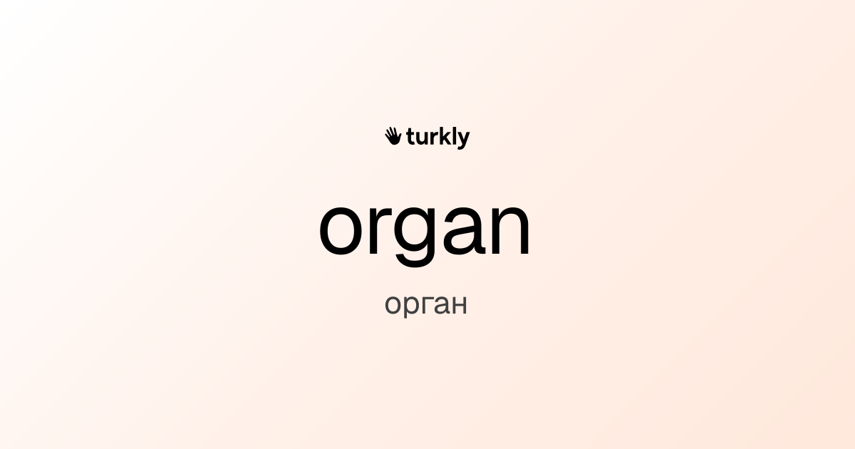 organ — орган