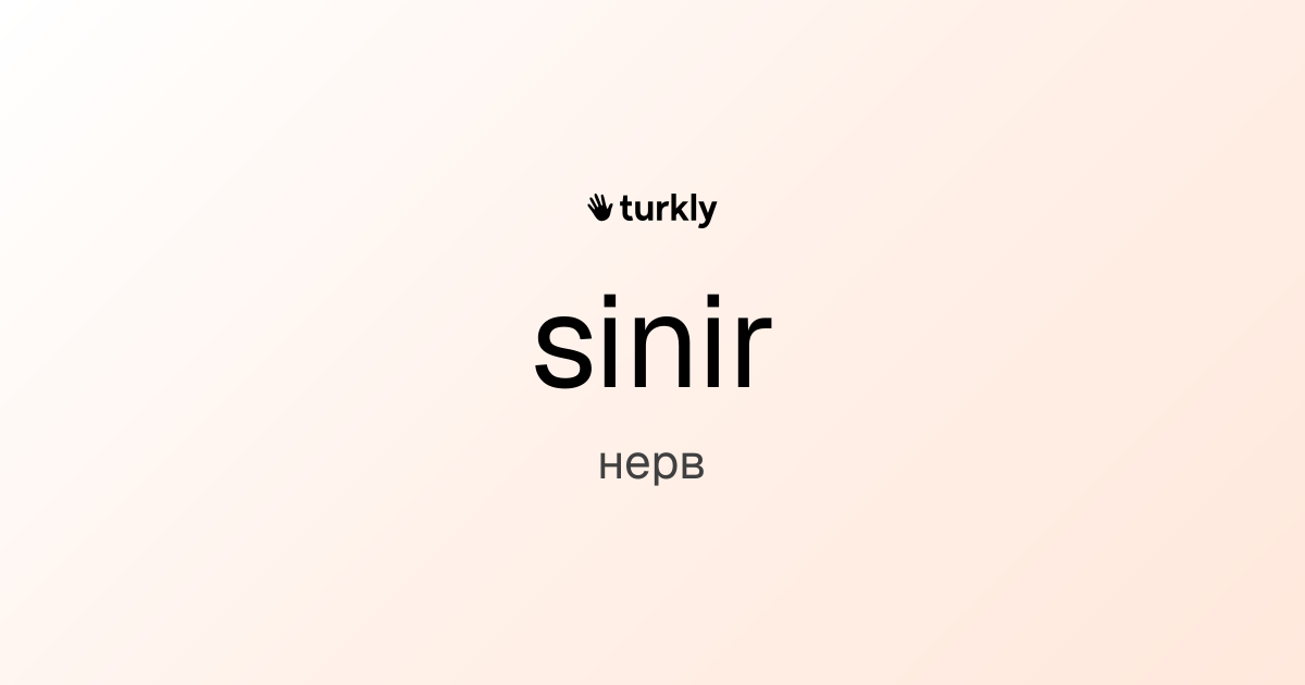 sinir — нерв