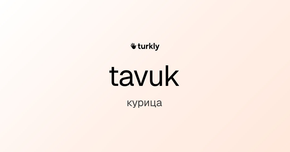 tavuk — курица