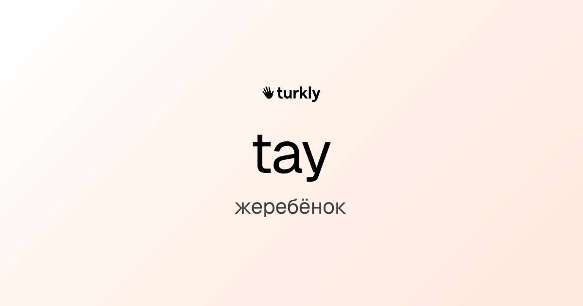 tay — жеребёнок