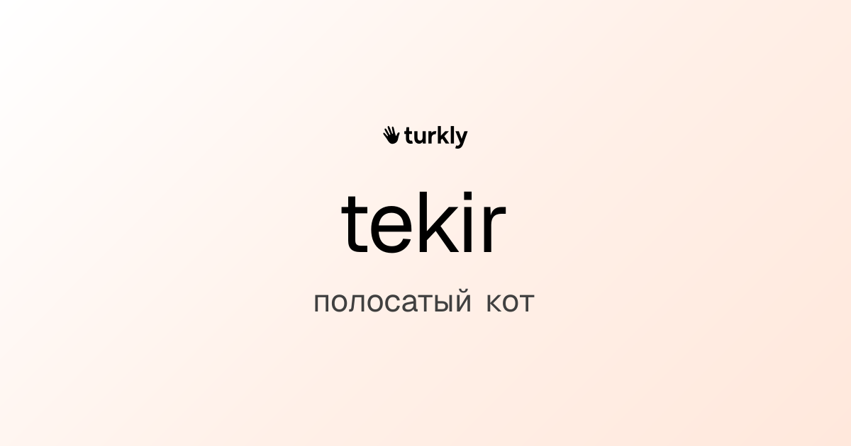 tekir — полосатый кот