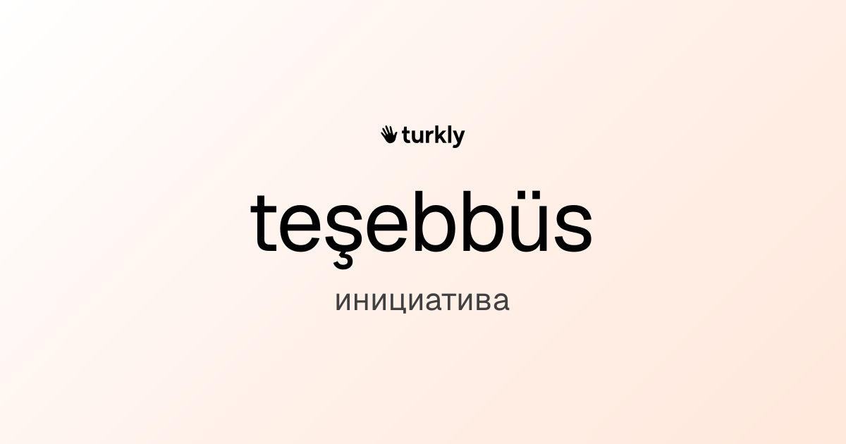 teşebbüs — инициатива