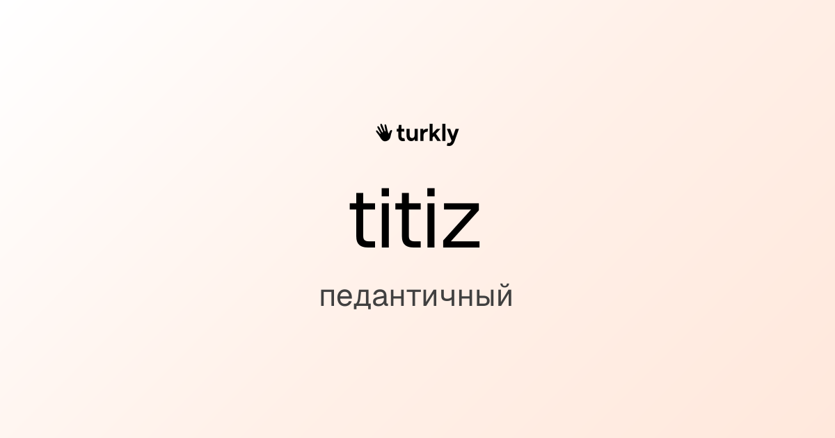 titiz — педантичный