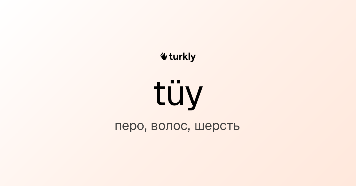 tüy — перо, волос, шерсть